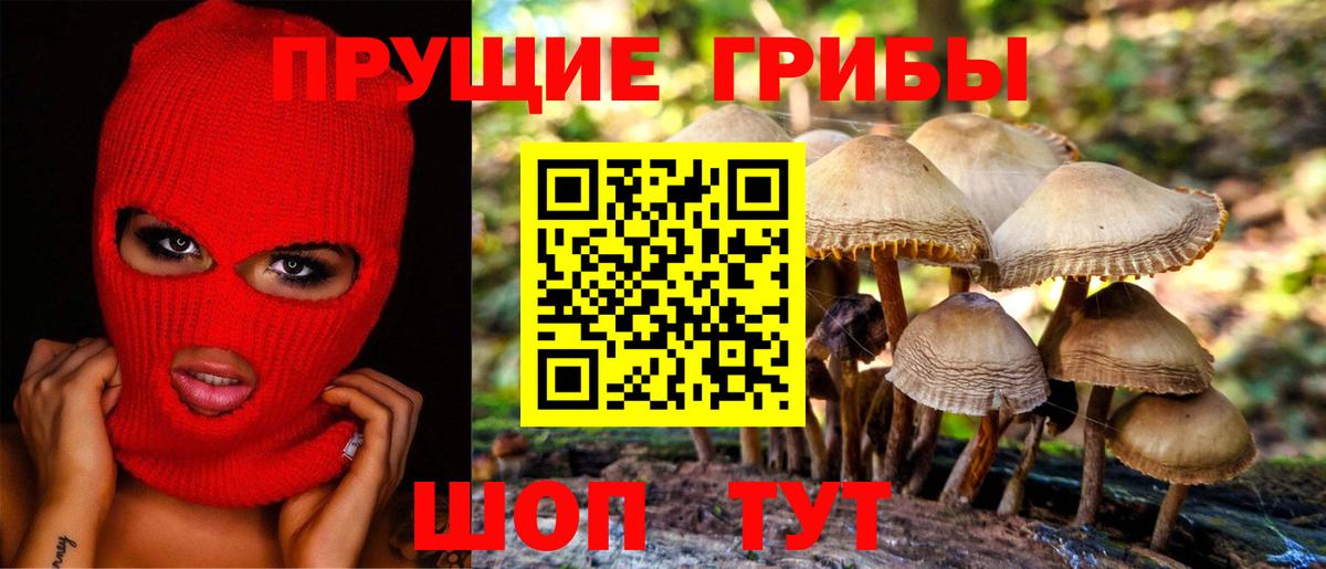Чебоксары  Псилоцибиновые грибы прущие грибы  Вход с VPN 