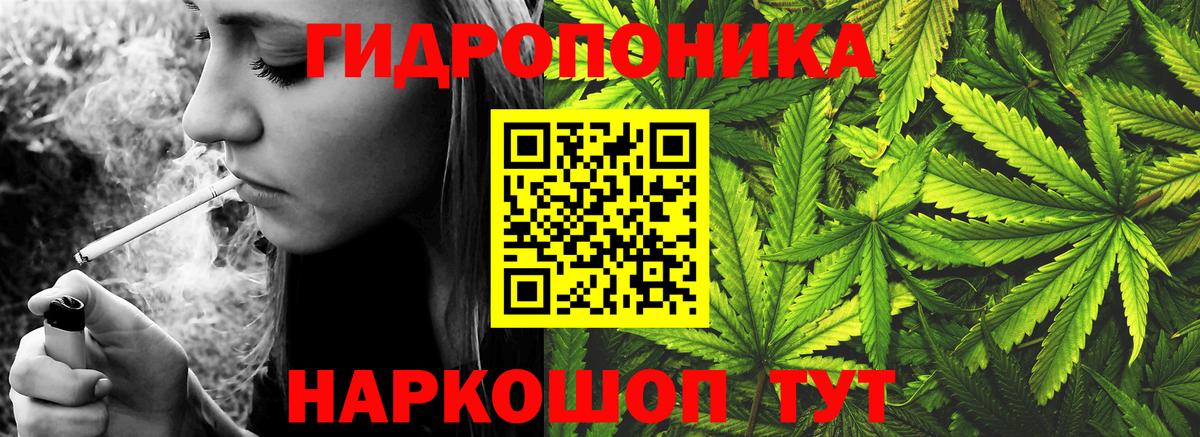 Бошки Шишки план Чебоксары